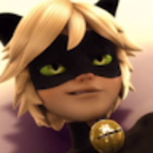 Meet your Posher, Luna